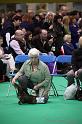 Crufts2011_2 1211